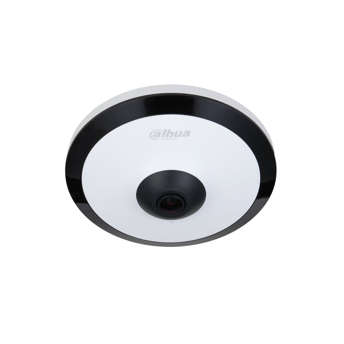 Dahua IP Fisheye Camera EW5541-AS with 360° Surveillance